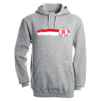 KSV Hoodie Fahne grau Erw.