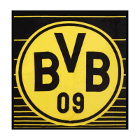 BVB Fleecedecke Streifen