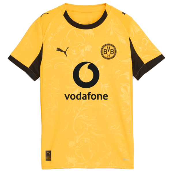 BVB Cup Trikot 25/26 Erw.