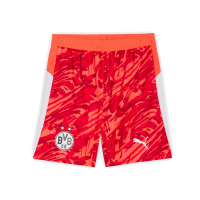 BVB Torwarthose 25/26 Kids rot