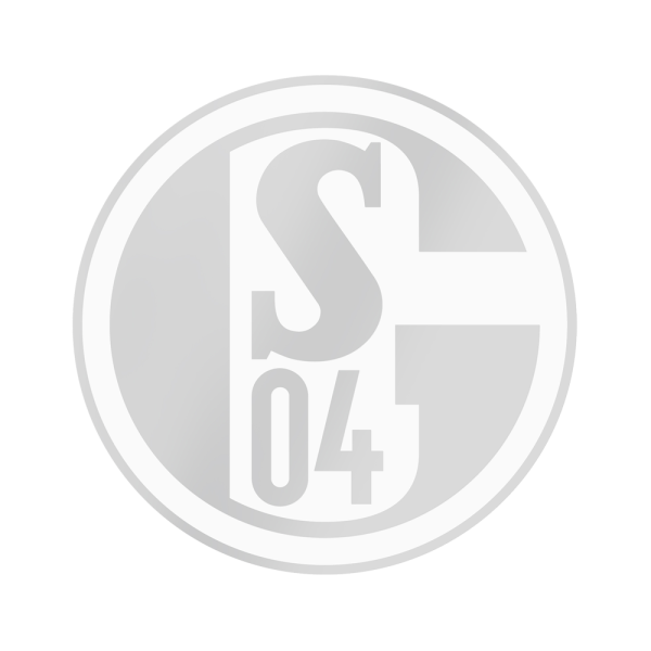 Schalke Aufkleber silber