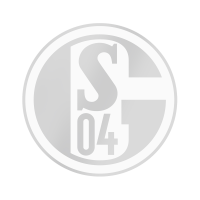 Schalke Aufkleber silber