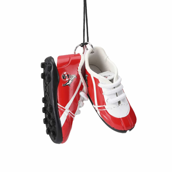 Köln Autospiegelschuhe